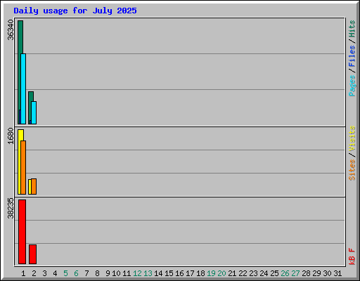 Daily usage for July 2025