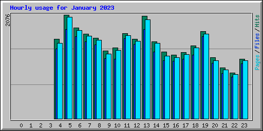 Hourly usage for January 2023